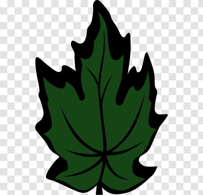 Maple Leaf Clip Art - Arecaceae Transparent PNG
