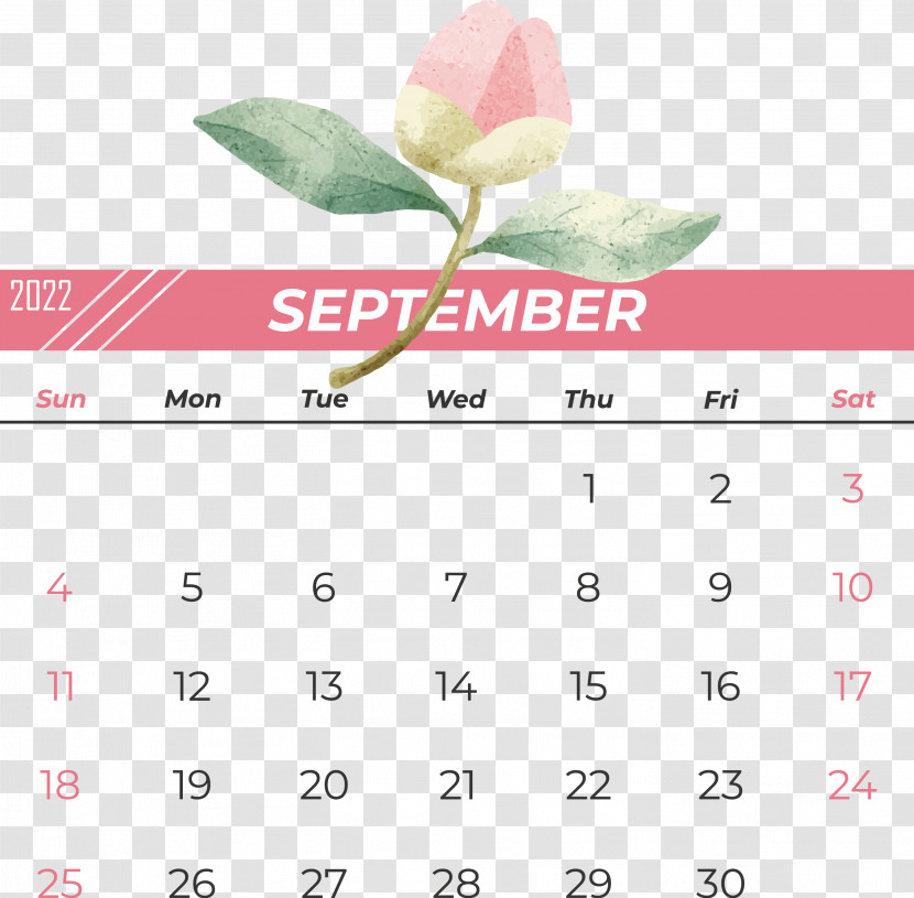 Calendar Font Flower Petal Meter Transparent PNG