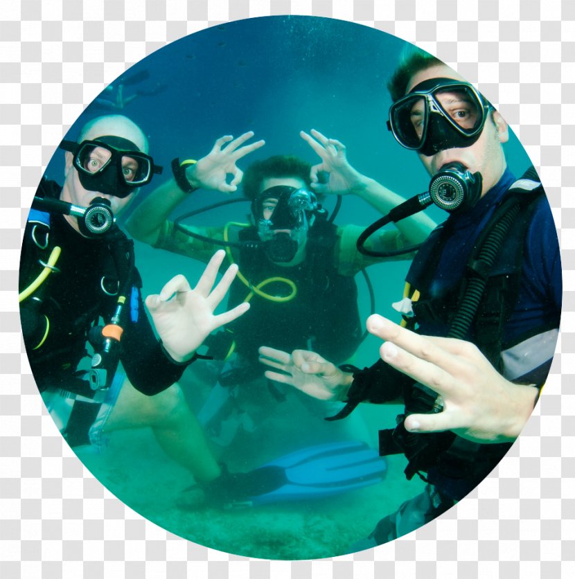 Scuba Diving Underwater Diver Communications Snorkeling - Set Transparent PNG