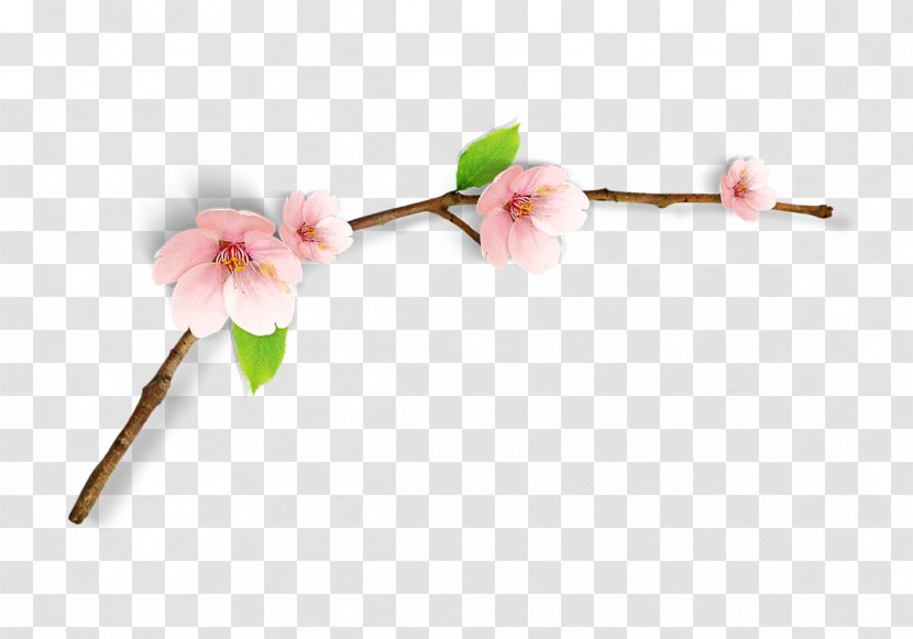 Cherry Blossom Clip Art - Spring Peach Branches Transparent PNG