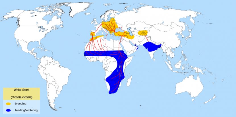 South Africa Afrikaans Dutch West Germanic Languages - Stork Picture Transparent PNG