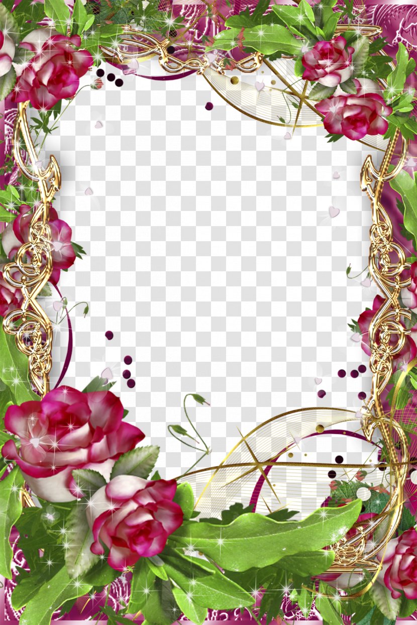 Picture Frame - Rose Family - Mood Pictures Transparent PNG