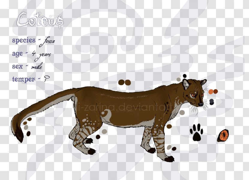 Lion Cat Fossa Lemurs Mammal - Art Transparent PNG