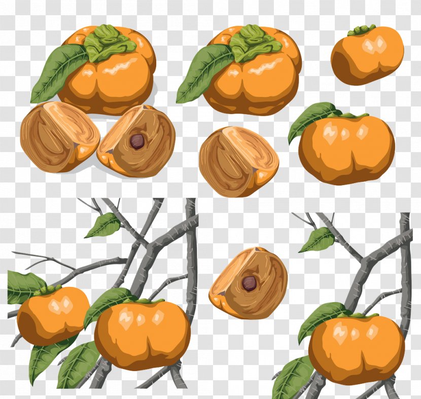 Persimmon Clementine Calabaza Food - Pumpkin - Hand-painted Persimmons Transparent PNG