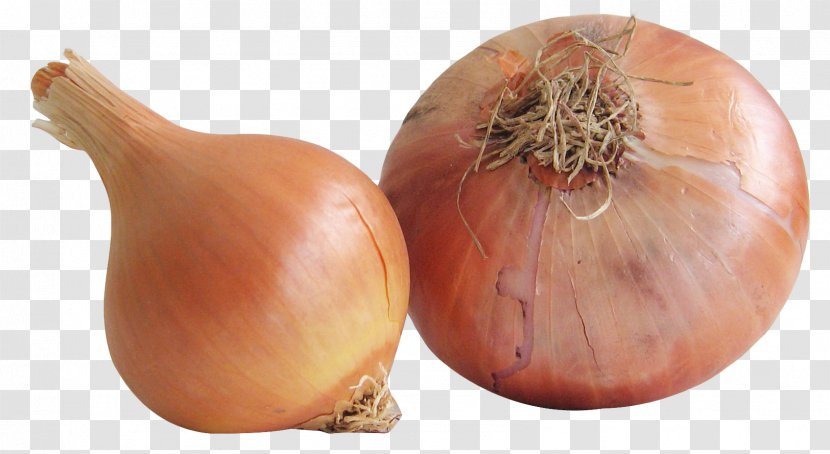 Yellow Onion Vegetable Shallot Food - Red Transparent PNG