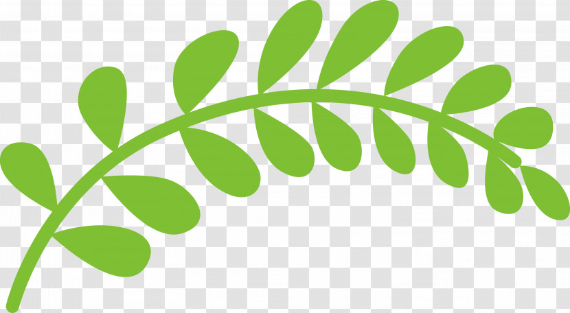 Plant Stem Leaf Green Line Meter Transparent PNG