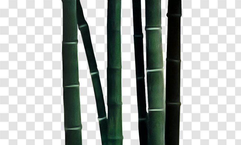 Bamboo Bambusa Oldhamii Download - Green Transparent PNG