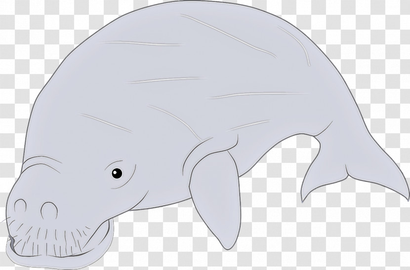 Cetaceans Cartoon Fish Whales Animal Figurine Transparent PNG