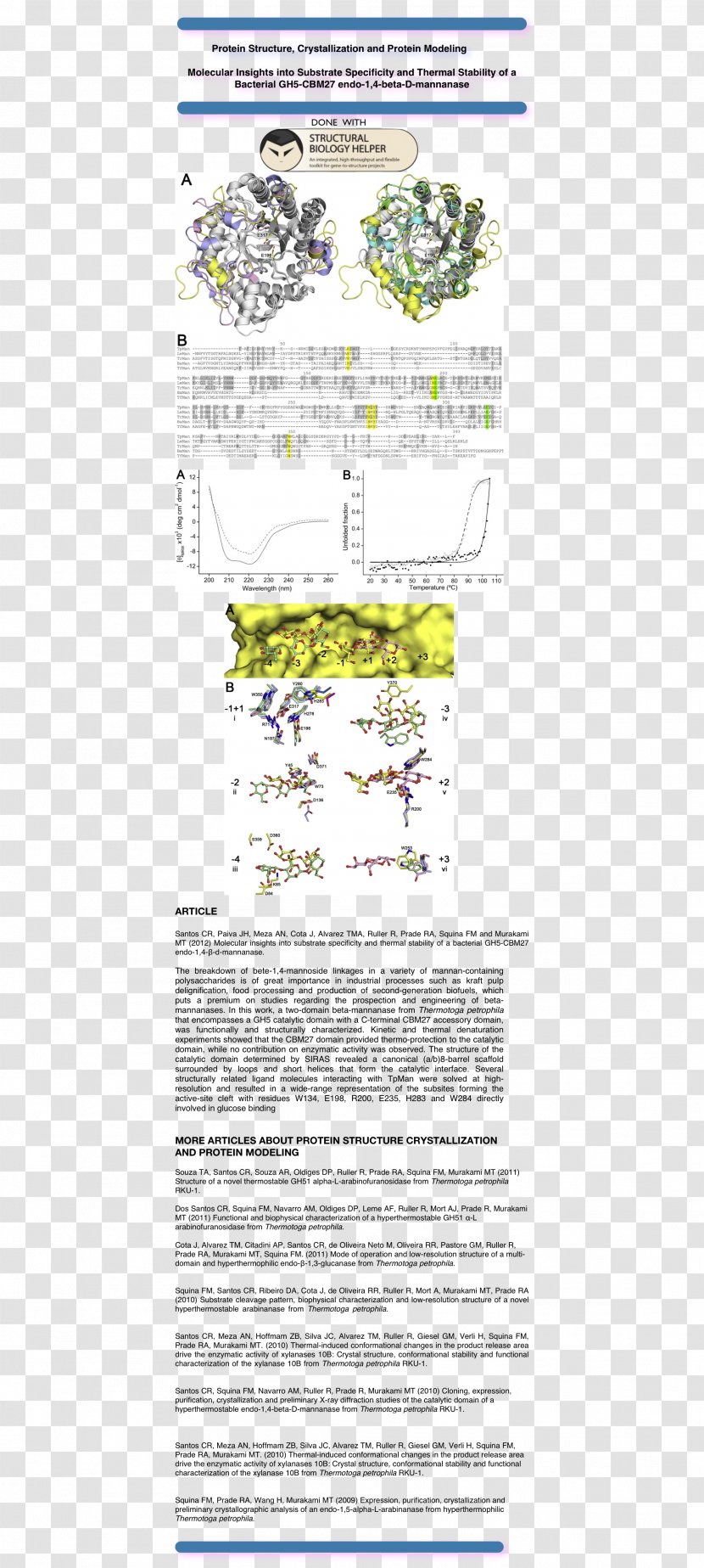 Document Plants Line - Diagram Transparent PNG