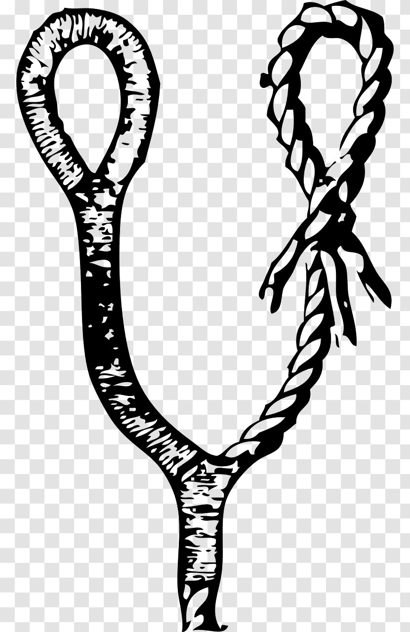 Seizing Knot Rope Clip Art Transparent PNG