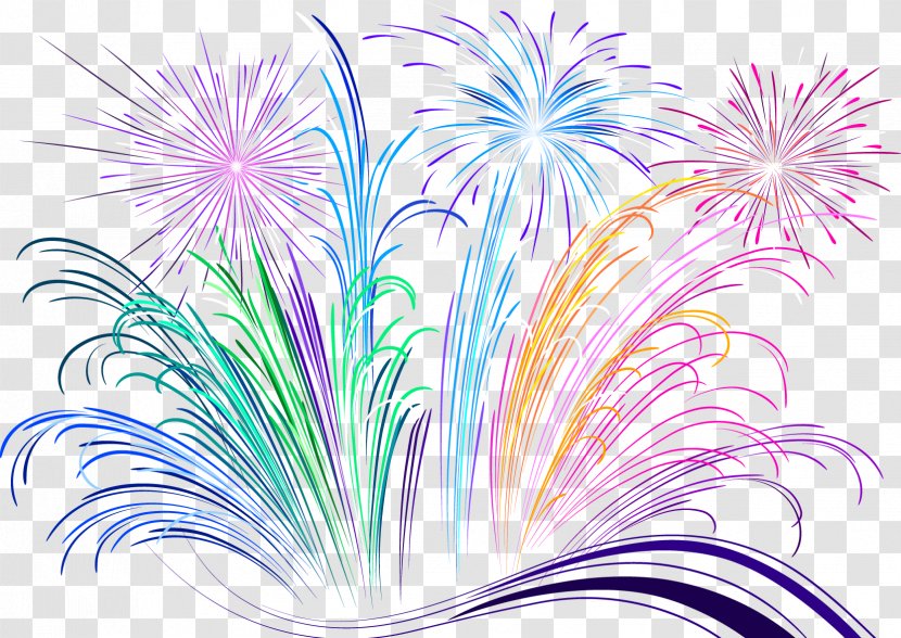 Petal Purple Illustration - Colorful Fireworks Transparent PNG