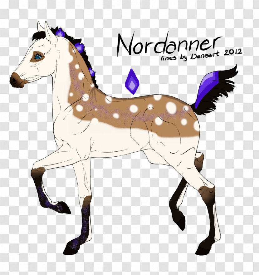 Pony Foal Mustang Colt Stallion - Neck - Cross Fire Transparent PNG