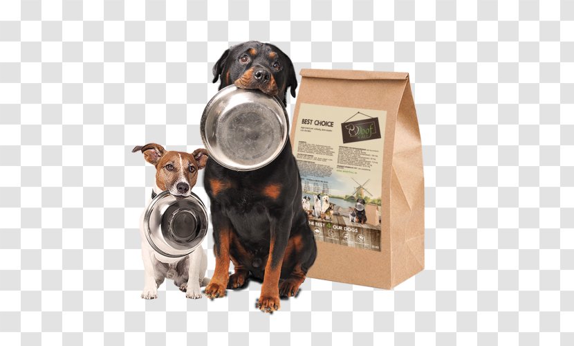 Dog Breed Puppy Food Cat Transparent PNG