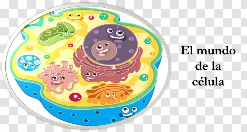 Plant Cell Cèl·lula Eucariota Organelle Organism - Baby Toys - Celula Transparent PNG
