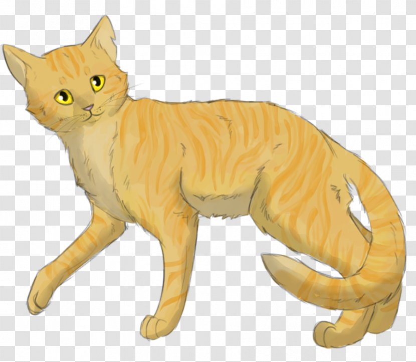 Cat Warriors Tigerstar Goldenflower The Last Hope Transparent PNG