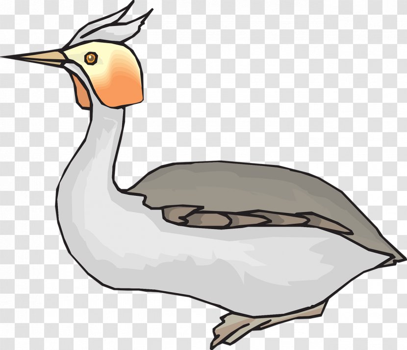 Duck Clip Art Goose Bird Vector Graphics - Fowl Transparent PNG