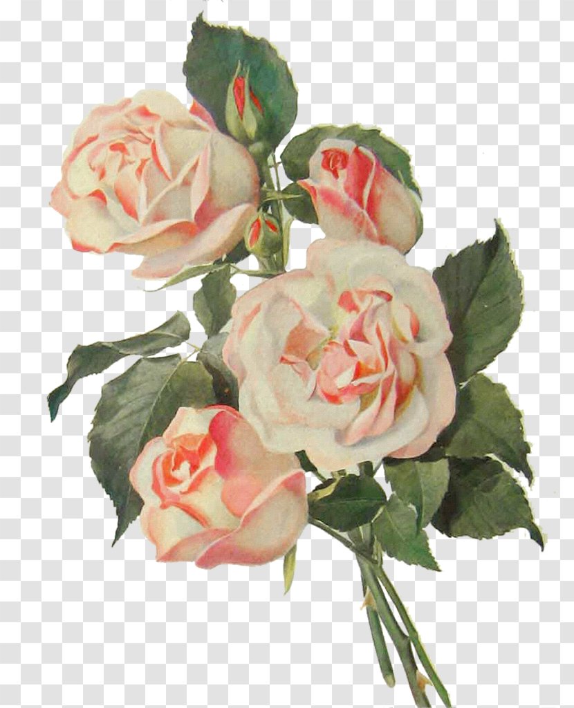 Flower Bouquet Rose Pink Transparent PNG