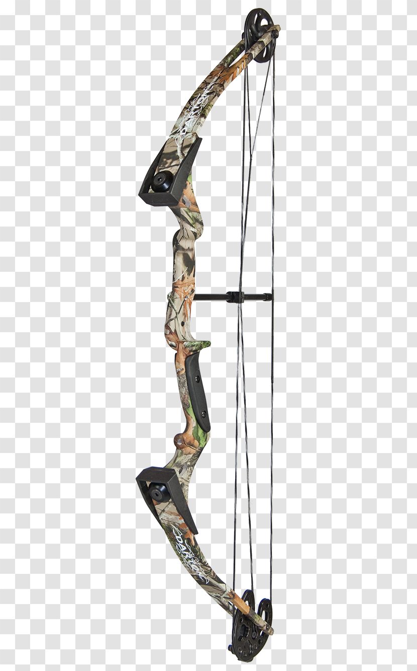 Compound Bows Bow And Arrow Hunting Darton Archery Manufacturing - Shooting Transparent PNG