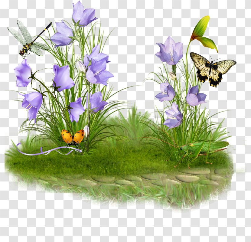 Garden Clip Art - Membrane Winged Insect - Flowering Perennials Transparent PNG