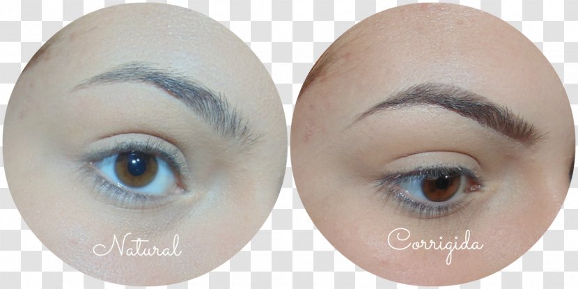 Eyelash Extensions Eyebrow Eye Shadow Hair Coloring - Frame - Cartoon Transparent PNG