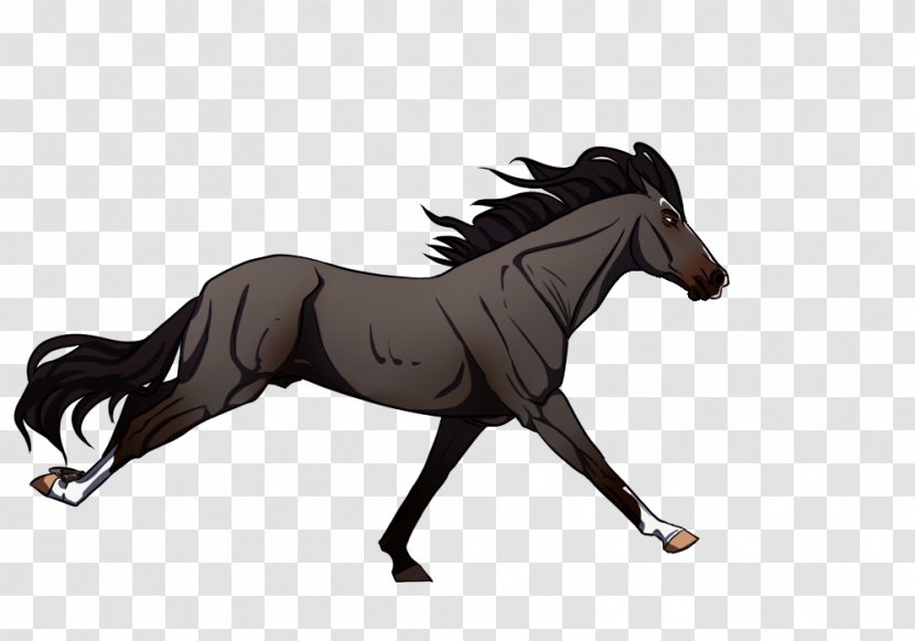 Mane Foal Pony Stallion Mare - Pack Animal - Mustang Transparent PNG