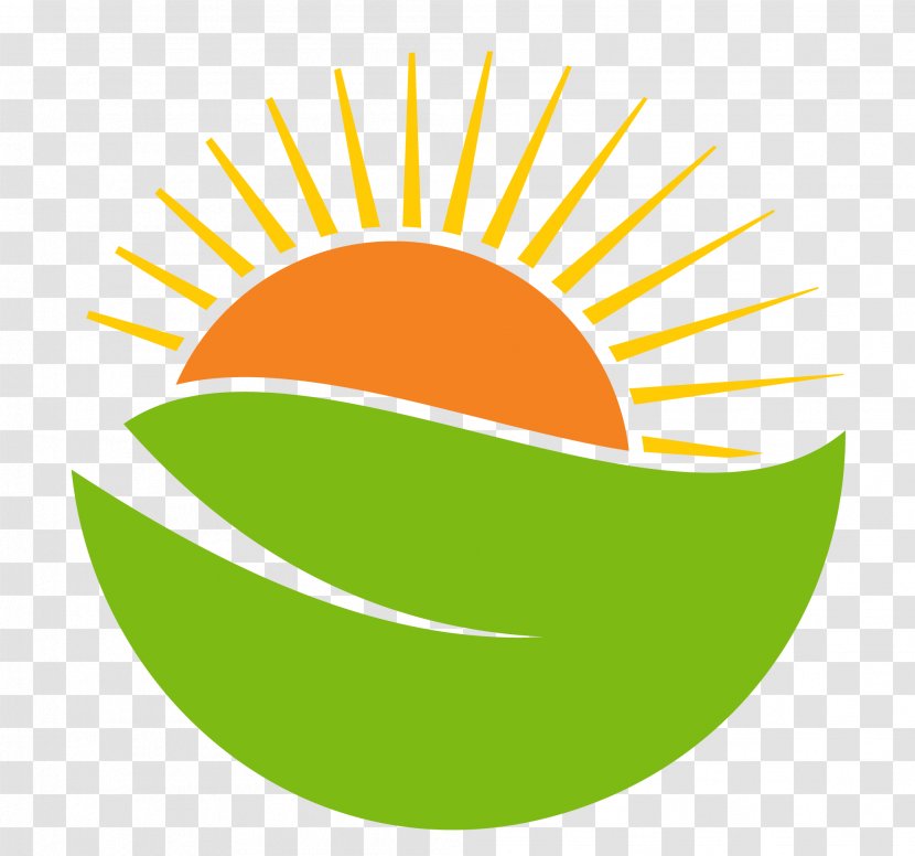 Logo Sticker - Vector Sun Transparent PNG