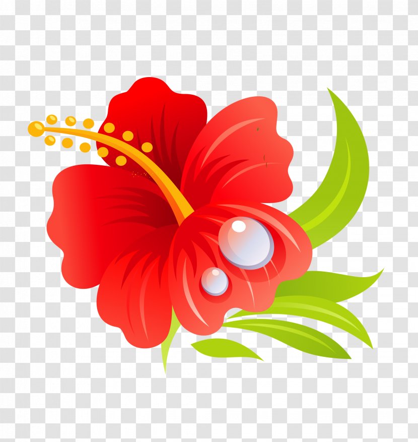 Hawaiian Hibiscus Drawing Clip Art - Mallow Family - Summer Beach Vector Floral Transparent PNG
