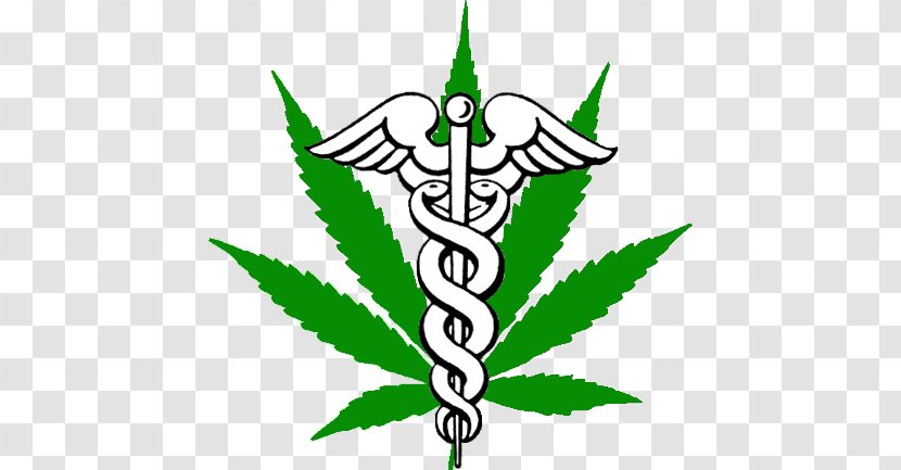 Medical Cannabis Kush Dispensary Cannabidiol - Hemp Family Transparent PNG