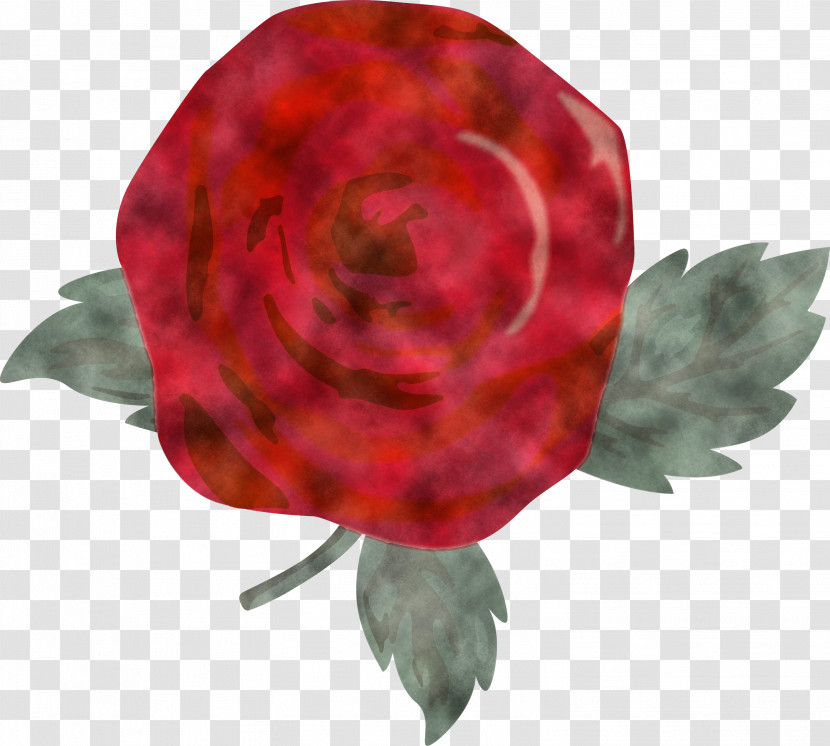Rose Transparent PNG