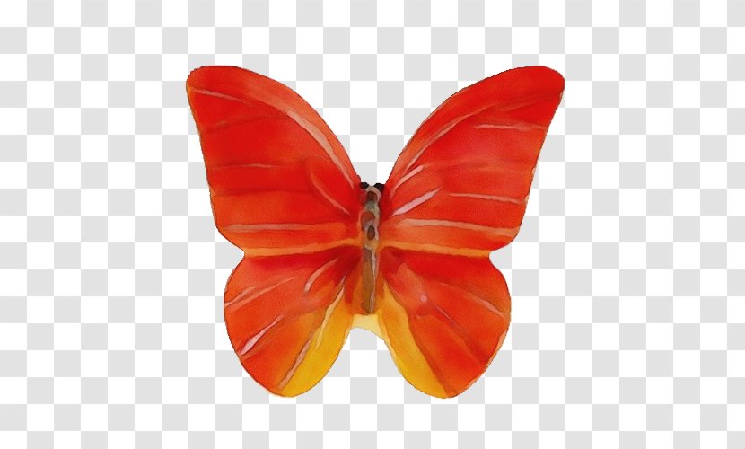 Monarch Butterfly - Anthurium Symmetry Transparent PNG