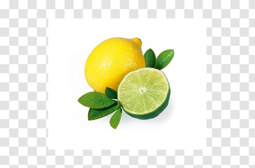 Lemon-lime Drink Persian Lime Citron - Peel Transparent PNG