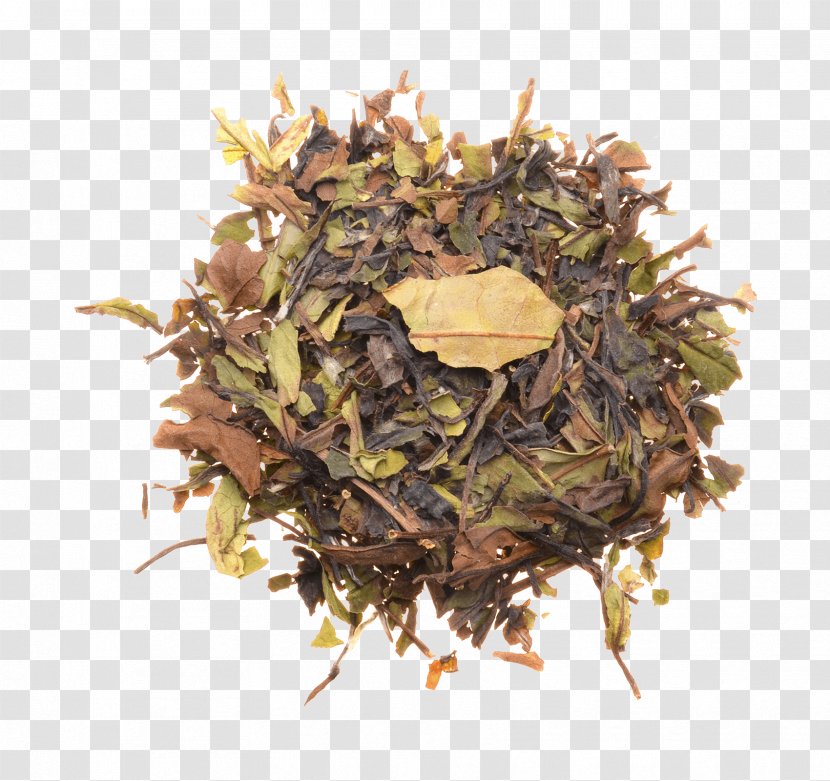 Golden Monkey Tea Nilgiri Bai Mudan English Breakfast - Ceylon - Fuding White Transparent PNG