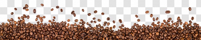 Iced Coffee Cafe Espresso Latte - Bean Transparent PNG