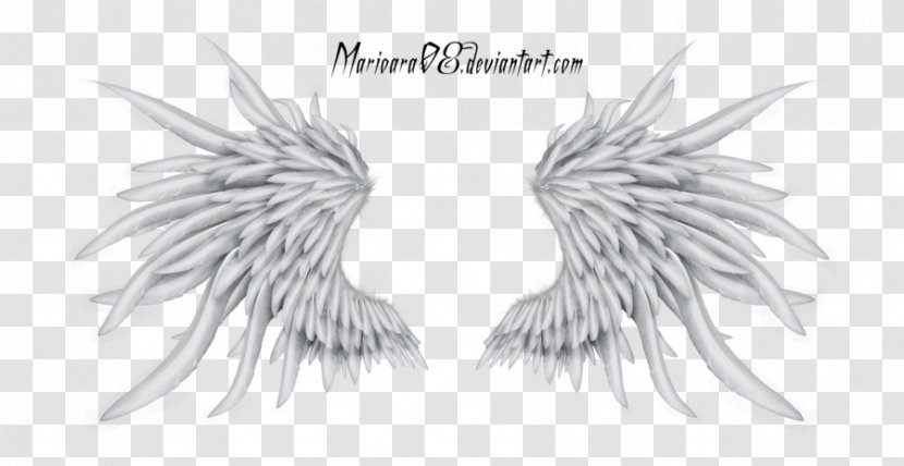 Clip Art Drawing Sketch Image - Tail - Angel Transparent PNG