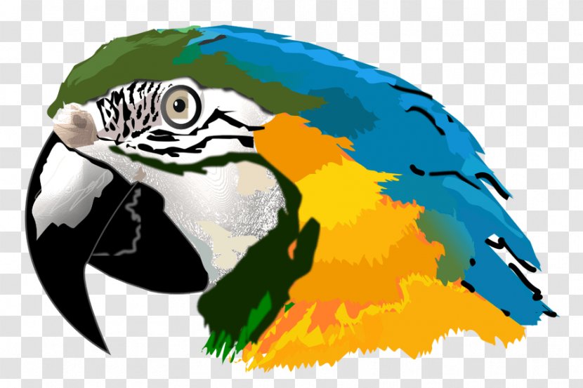 Amazon Parrot Macaw Clip Art - Blueandyellow Transparent PNG