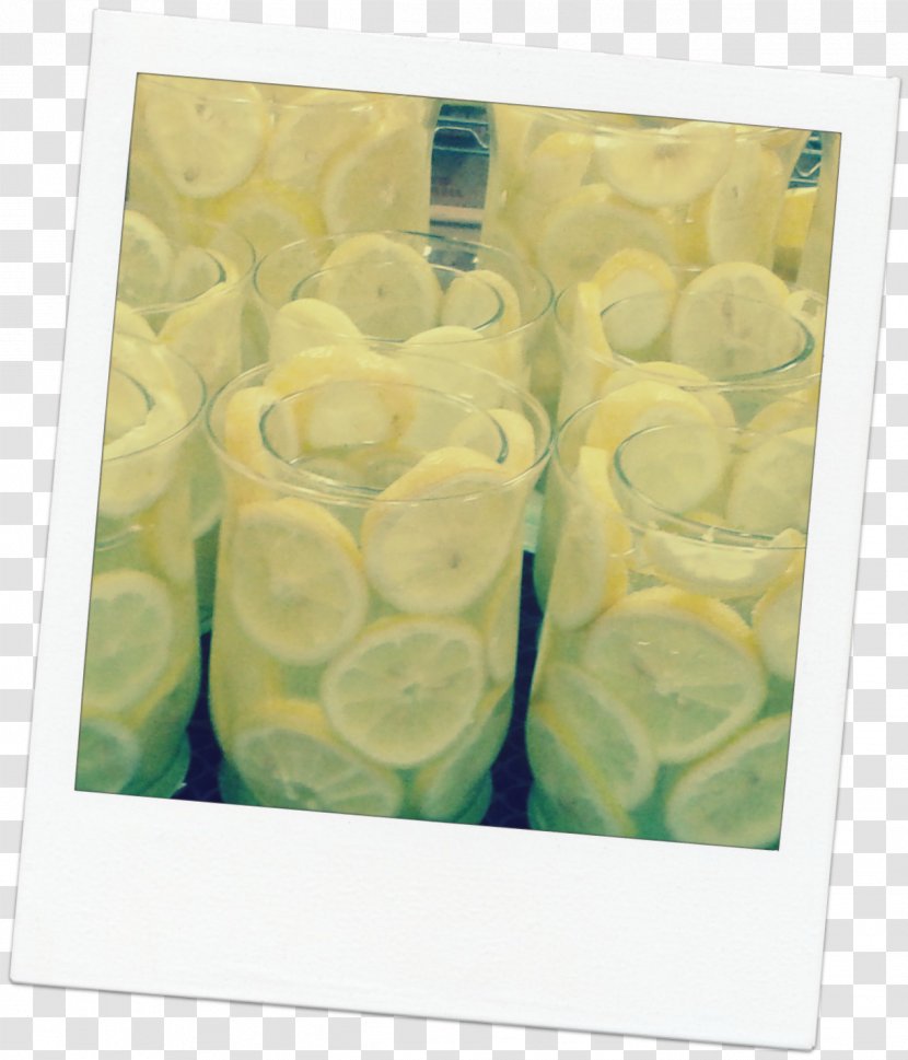 Green Organism - Yellow - Watercolor Lemon Slice Transparent PNG