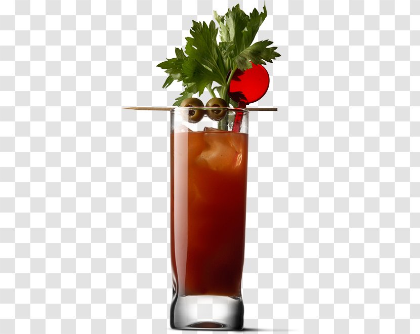 Bloody Mary Caesar Cocktail Vodka Highball - Flower Transparent PNG