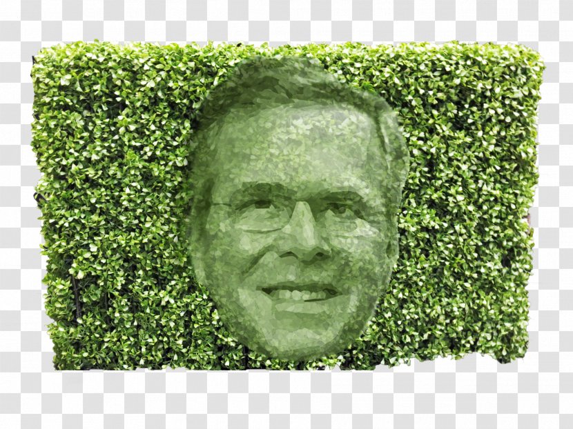 Chris Christie Hedge Trimmer Fund Tree - Shrub Transparent PNG