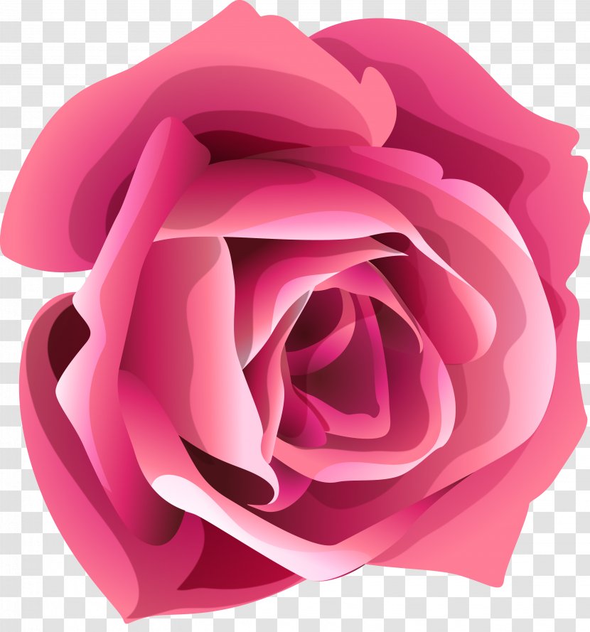 Garden Roses Flower Clip Art - Digital Image - White Rose Transparent PNG