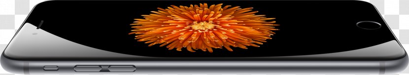 IPhone 6 Plus 5 6S Apple - Iphone Transparent PNG