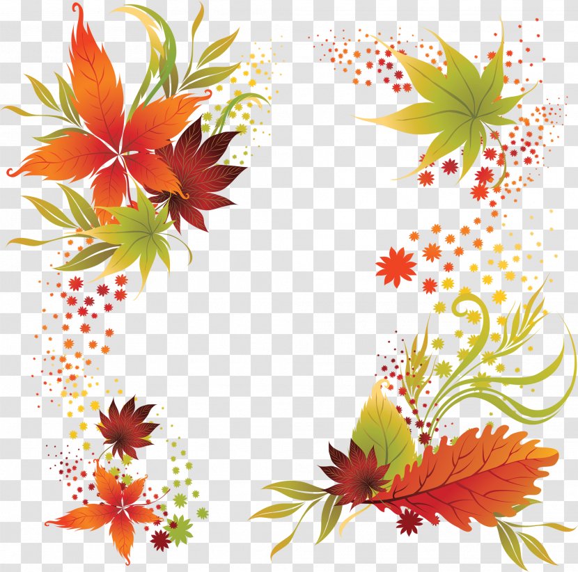 Clip Art Design Vector Graphics Illustration - Picture Frames - Floral Transparent PNG