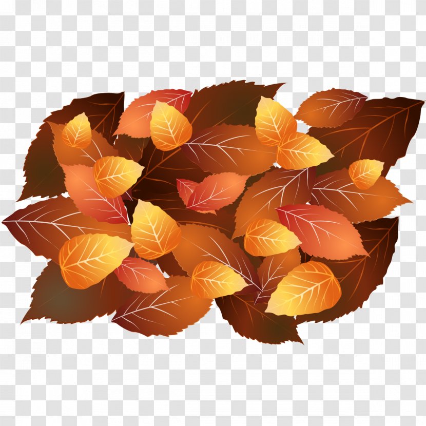 Autumn Yellow Orange - Petal - Leaves Transparent PNG