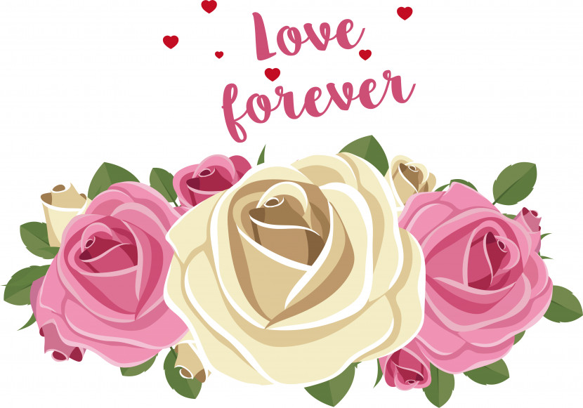 Floral Design Transparent PNG