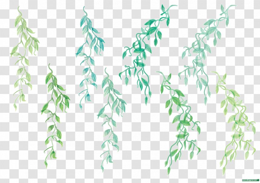Twig Plant Stem Leaf Font Grasses - Death Transparent PNG
