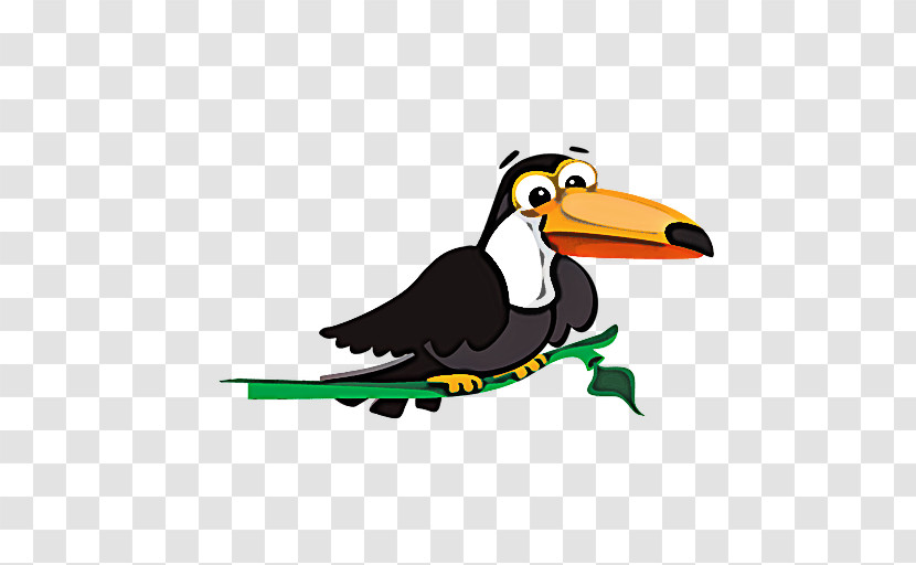 Bird Beak Toucan Cartoon Piciformes Transparent PNG