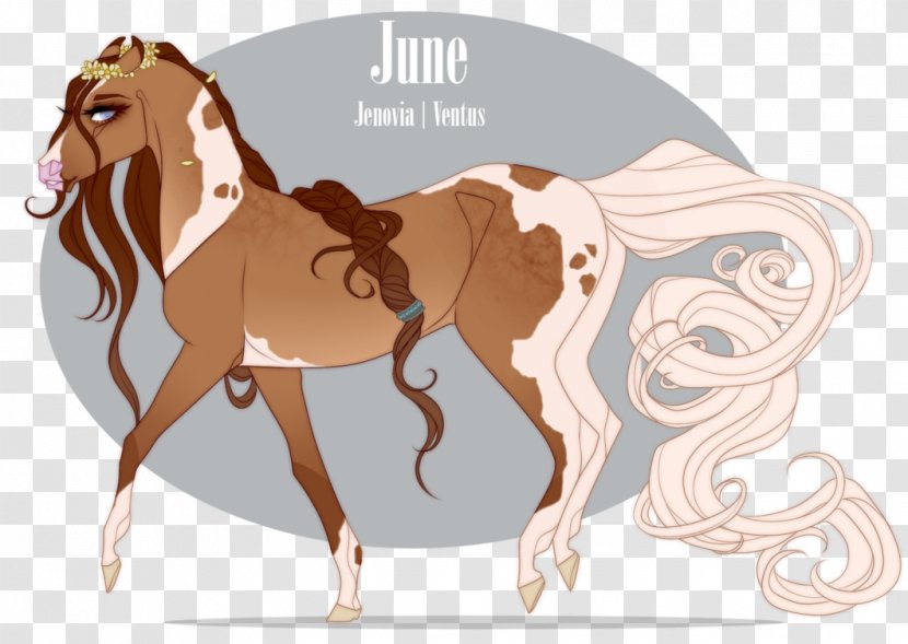 Mane Foal Mustang Stallion Colt - Cartoon - Horse Drawing Transparent PNG