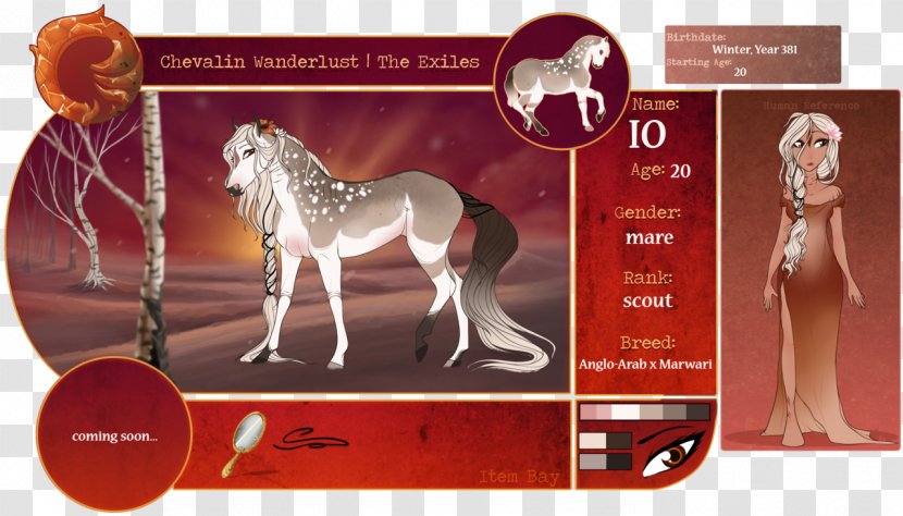 Stallion - Horse Like Mammal - Angloarabian Transparent PNG