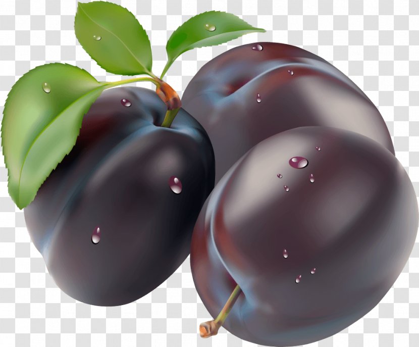 Plum Clip Art - Food - Image Transparent PNG