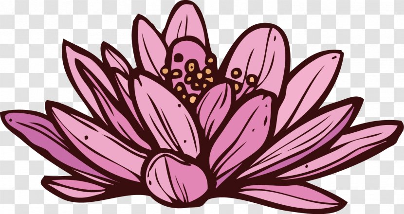 Spa Floral Design Nelumbo Nucifera - Floristry - Lotus Transparent PNG