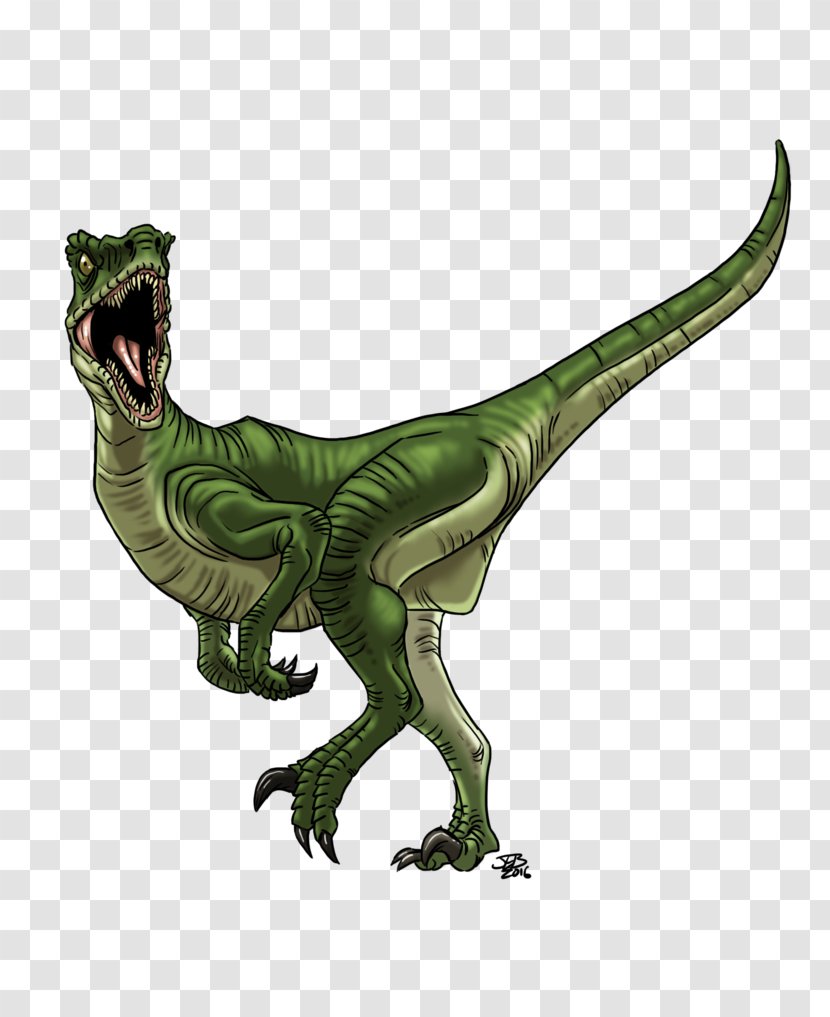 Velociraptor Deinonychus Raptor Red Utahraptor Dinosaur - Flower Transparent PNG